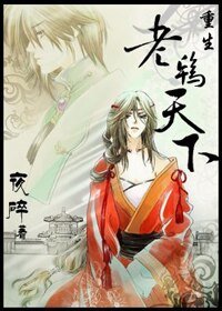 重生之老鸨天下