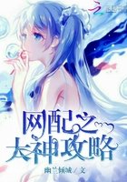網配之大神攻略